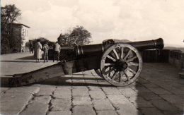 Königstein Sa - S/w Festung Königstein  Altes Geschütz - Koenigstein (Saechs. Schw.)