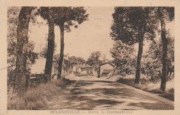 88 - BULGNEVILLE - Route De Contrexéville - Bulgneville