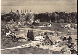 HORGEN: Fliegeraufnahme Quartier Mit Bäckerei/Restaurant Maag 1967 - Horgen