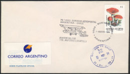 Cover With Special Postmark Commemorating The 75th Anniversary Of The Argentina-Chile Airmail Service, VF! - Andere & Zonder Classificatie