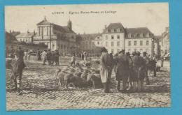 CPA - Métier Maquignon Marché Aux Moutons AUTUN 71 - Autun