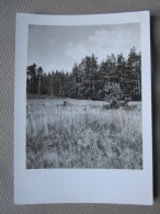 Veb Bild Und Heimat Reichenbach I. V. Foto Kossatz, Plauen - Reichenbach I. Vogtl.