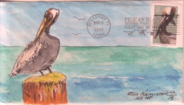 Fauna - Pelican - Pelikaan - Pélicans