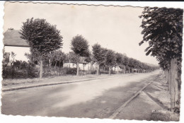 CPSM THOUROTTE OISE AVENUE DU MARECHAL FOCH 1954 - Thourotte