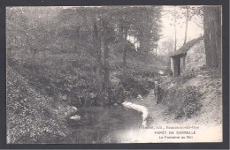 95 - Forêt De CARNELLE - La Fontaine Au Roi - Saint-Martin-du-Tertre