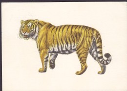 Germany PPC Zoo Leipzig Sibirische Tiger Tigre Original Von Michael Lissmann 1981 To Denmark (2 Scans) - Tigres