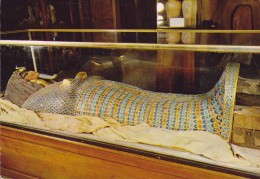 Egypt Egypte CPA The Egyptian Museum - Cairo Royal Coffin Of King Akhnaton 1372 B.C. (2 Scans) - Musei