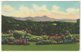 Mount Pisgah And The Rat As Seen From The Grounds Of Asheville School, Western North Carolina - 1938 - Asheville