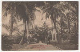 Coconut And Royal Palms, Palm Beach, Fla. - 1918 - Palm Beach