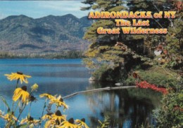 New York The Adirondack Park Lake Scene - Adirondack