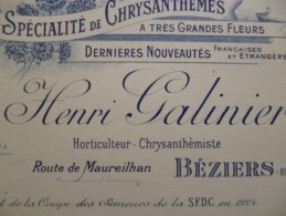 Carte Pub Cdv Béziers H.Galinier Chrysanthèmes Fleuriste - Beziers