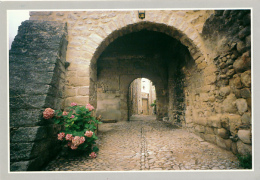 JOYEUSE (07, Ardèche) : Vieille Porte (non Circulée, Neuve) - Joyeuse