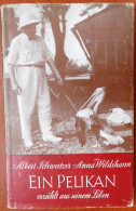 Albert SCHWEITZER : Ein Pelikan Erzählt Aus Seinem Leben (Richard Meiner Verlag) - Biografía & Memorias
