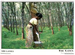 (125) ) Sri Lanka (Ceylon) - Women And Tree, Te Latex - Arbres