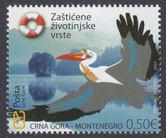 Montenegro 2007 Fauna, Birds, Pelican, Protected Animals MNH - Pelícanos