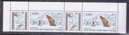 TAAF 2005  Conversation Intime / Penguins 1v (pair, Top Margin) ** Mnh (30490B) - Ongebruikt