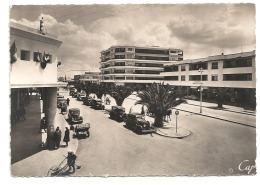 MAROC  -  MEKNES  -  AVENUE MEZERGUES  -  CPM 1940/50 - Meknès