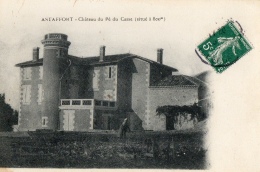 47 LOT ET GARONNE - ASTAFFORT Château Du Pé Du Casse - Astaffort