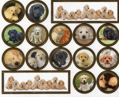 Planche De Chiens - Animales