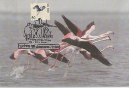 Maxim Card Greater Flemingo Vulture Migrant From Iran Visitor To Chilika, Pictorial Cancellation As Per Scan - Flamencos