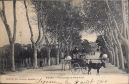 CPA.  - SIGEAN - Promenade Du Pont Neuf - Datée : Le 10.08.1906 - Collect. Huc Receveur Buraliste - Très Bon état - Sigean