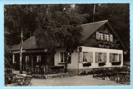 Kronberg Im Taunus - S/w Waldcafé Restaurant Bürgelstollen - Kronberg