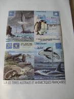 2001    TAAF   BF 5 * *  NO YT 298/301    SERIE COLLECTION JEUNESSE  OISEAU MANCHOTS - Hojas Bloque