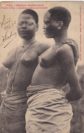 Benin - Etude Fortier Nus Ethnique - Jeunes Dahoméennes Afrique Occidentale - Benin