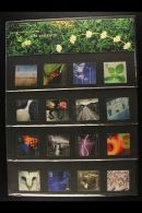2000 COMMEMORATIVE PRESENTATION PACK Complete For The Year, With All 12 Millennium Packs Plus Stamp Show &... - Autres & Non Classés