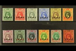 1912 Definitives Set Complete Overprinted "SPECIMEN", SG 45s/56s, Very Fine Mint (12 Stamps, The 10s With Corner... - Nigeria (...-1960)