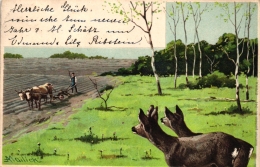 Reh, Rehe, Bauer, Sign. Mailick, 1900 - Mailick, Alfred