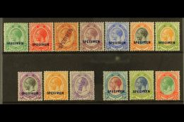 1913-20 SPECIMENS King's Head Set Less 2s6d, Either Overprinted Or Handstamped (1½d, 1s3d & £1... - Zonder Classificatie