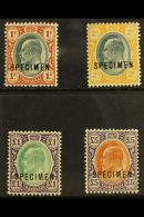 TRANSVAAL 1903 Ed VII Set To £5 Ovptd "Specimen", SG 256s/9s, Very Fine Mint, Large Part Og (4 Stamps) For... - Non Classés