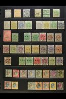 TRANSVAAL 1885-1909 MINT SELECTION On A Stock Page. Includes 1885-93 5s P12½ X 12, 1894 Range To 1s, 1895... - Non Classés