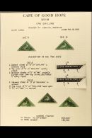 CAPE OF GOOD HOPE TRIANGULARS COLLECTION 1855-63 Specialised Used Collection On Part Remaindered Pages, Includes... - Unclassified