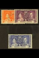 1937 Coronation Set Complete, Perforated "Specimen", SG 185s/7s, Very Fine Mint. (3 Stamps) For More Images,... - Sierra Leone (...-1960)