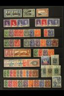 1883-1963 MINT & USED COLLECTION, CAT £290+ Chiefly Fresh Collection On Stock Pages, Includes 1883... - Ste Lucie (...-1978)