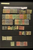 TRANSYLVANIA 1919 SPECIALIZED MINT & USED COLLECTION Of Overprints On Hungarian Stamps (many Never Hinged) -... - Autres & Non Classés