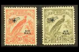 1932-34 Air 10s & £1 High Values, SG 202/3, Lightly Hinged Mint (2 Stamps) For More Images, Please Visit... - Papouasie-Nouvelle-Guinée