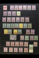 JOHORE 1884-1968 MINT COLLECTION On A Pair Of Stock Pages. Includes 1922-41 Ibrahim Ranges To $1, 1948 Silver... - Andere & Zonder Classificatie