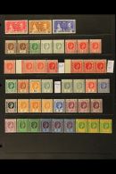 1937-1951 FINE MINT COLLECTION On Stock Pages, Inc 1938-51 Set With Shades & Minor Varieties Inc 1d Die A... - Leeward  Islands