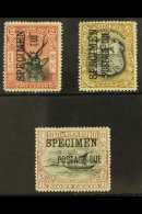 POSTAGE DUES 1897 - 99 2c, 6c And 8c Overpinted "Specimen", SG D12s, D18s, D19s, Very Fine And Fresh Mint. (3... - Bornéo Du Nord (...-1963)