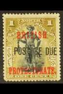 POSTAGE DUE 1902-12 1c Black And Bistre-brown (no Stop After "DUE"), SG D37a, Fine Unused (no Gum). For More... - Bornéo Du Nord (...-1963)