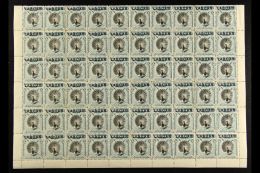 1900-02 5c Black And Pale Blue Pheasant, SG 114, A Superb NEVER HINGED MINT Lower Half Sheet Of Sixty (10 X 6)... - Noord Borneo (...-1963)