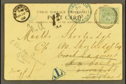 1903 (Dec 31) Picture Postcard To England Bearing QV ½d Tied By Port Royal Cds; Alongside Handstamped "T"... - Giamaica (...-1961)