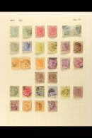 1876-1949 MINT & USED COLLECTION On Leaves, Inc 1884-91 Used Sets (x2), Plus To 3d & 4d Mint, 1913-21 To... - Goudkust (...-1957)