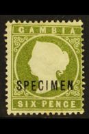 1886-93 6d Yellowish Olive-green Overprinted "SPECIMEN" Additionally With The SLOPING LABEL Variety, SG 32as,... - Gambia (...-1964)