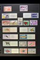 SOMALI COAST 1950-1967 Complete Fine Mint Collection Much Being Marginal Never Hinged Mint, Yv 283/325. Lovely... - Altri & Non Classificati