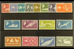 1963-69 Defins Complete Set, SG 1/16, Very Fine Never Hinged Mint, Fresh. (16 Stamps) For More Images, Please... - Falklandinseln