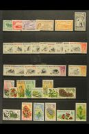 1955-1972 DEFINITIVES COMPLETE MINT With 1955-57 Set, 1960-66 Birds Set, 1968 Flowers Set, 1971 Surcharges Set And... - Falkland